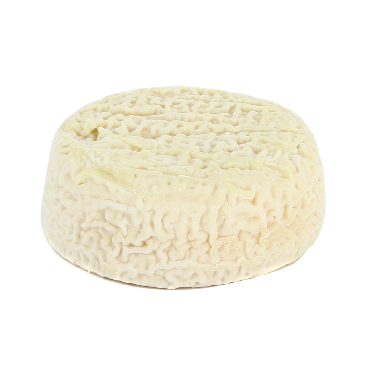 3475433000236 - Les Petites Laiteries - Fleur de Ré blanche - Lait de chèvre cru