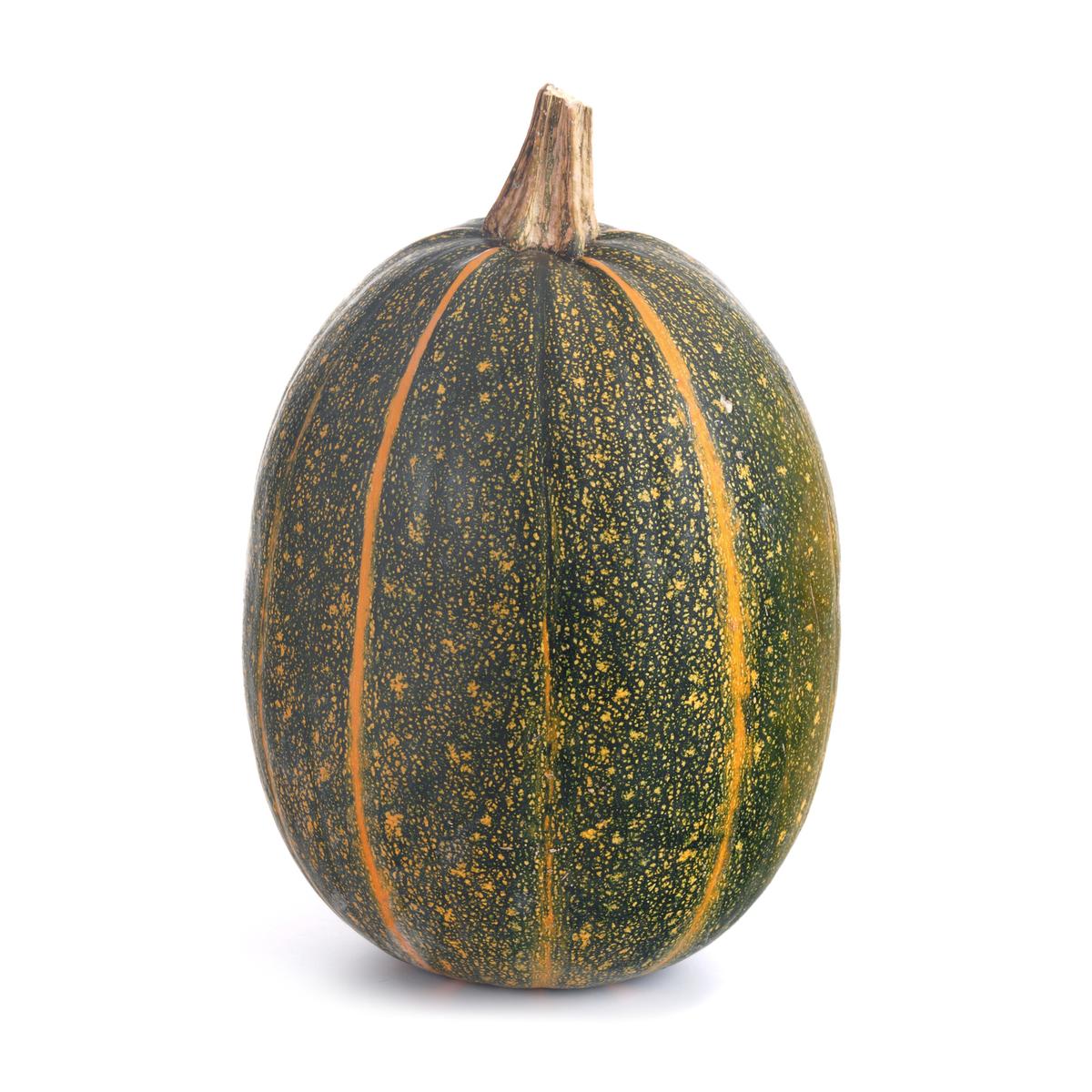 3411060010736 - - Courge Spaghetti Verte