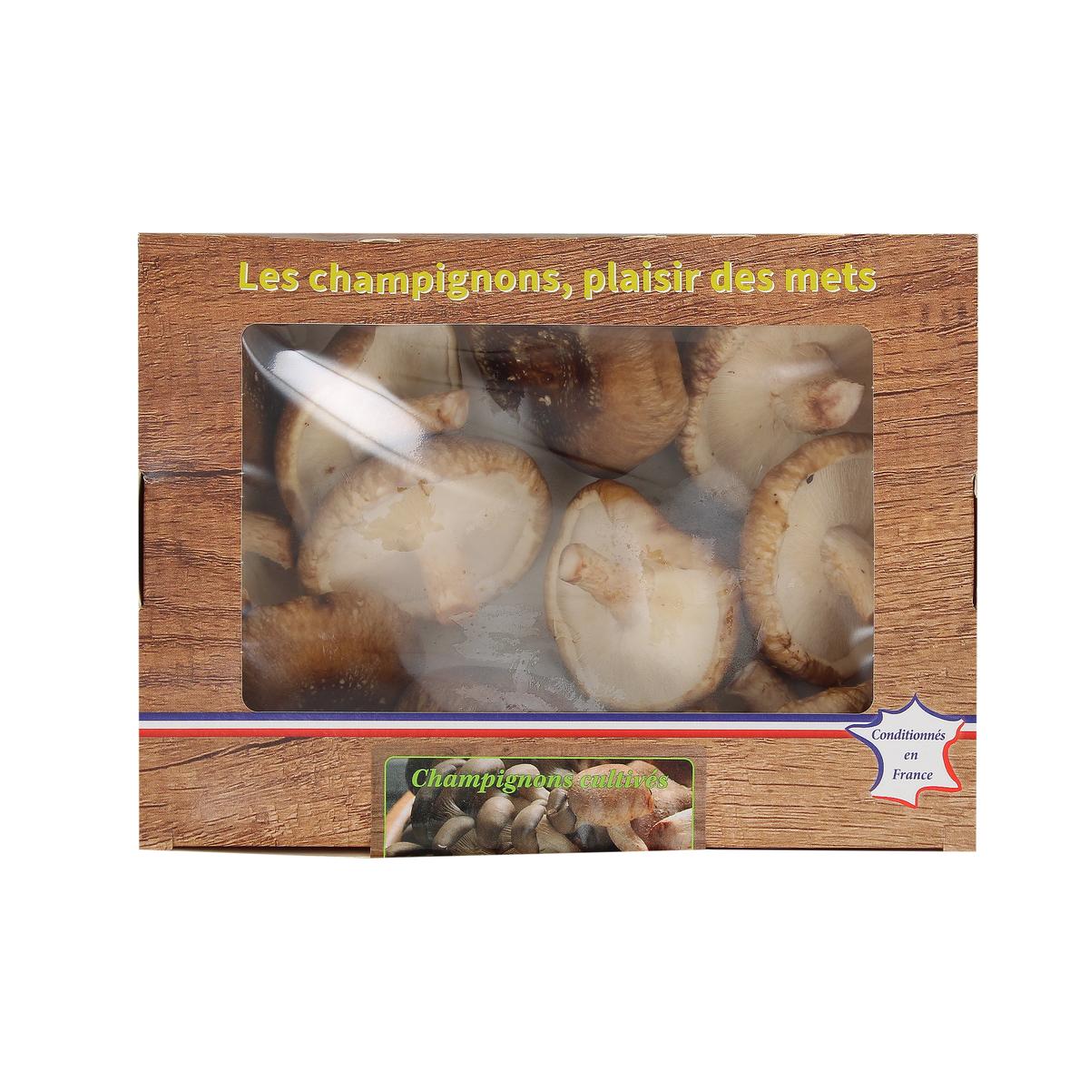 3700758906537 - - Champignon Shii Take
