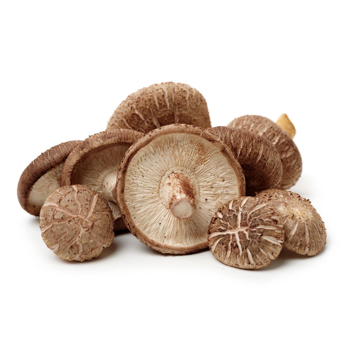 3700758906537 -  - Champignon Shii Take