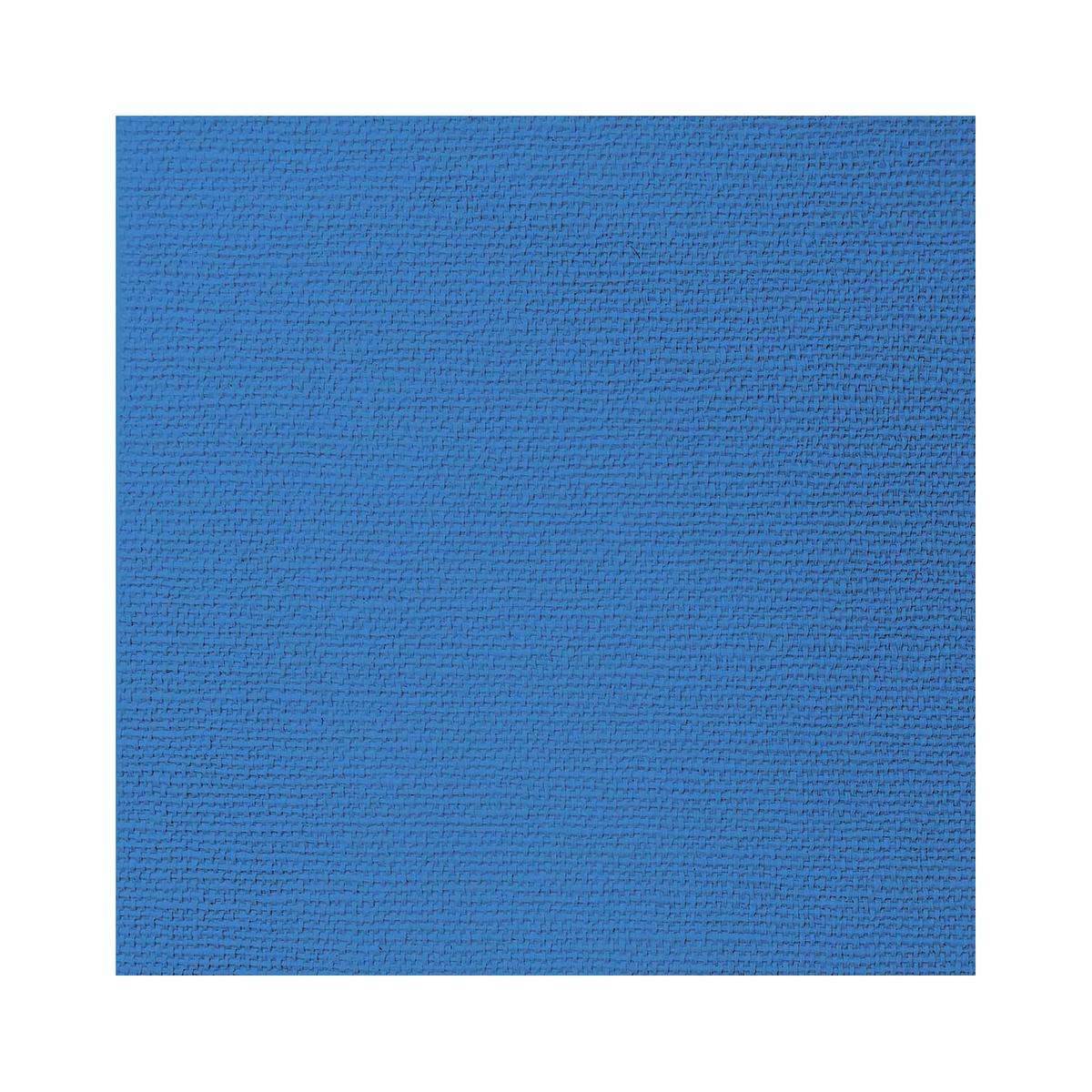 4021766308038 - Paperproducts Design - Serviettes en papier Bleue