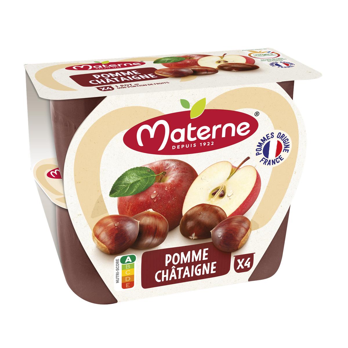 3021760290040 - Materne - Compote pomme chataigne