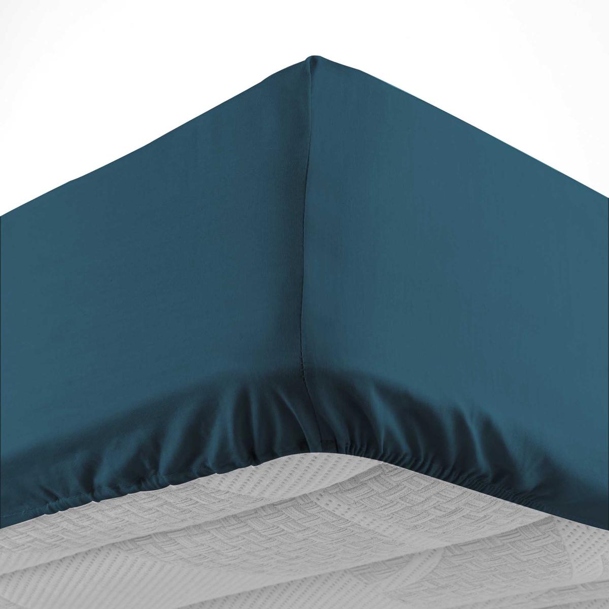 3574386445641 - Douceur D Interieur - Drap housse bleu 2 personnes