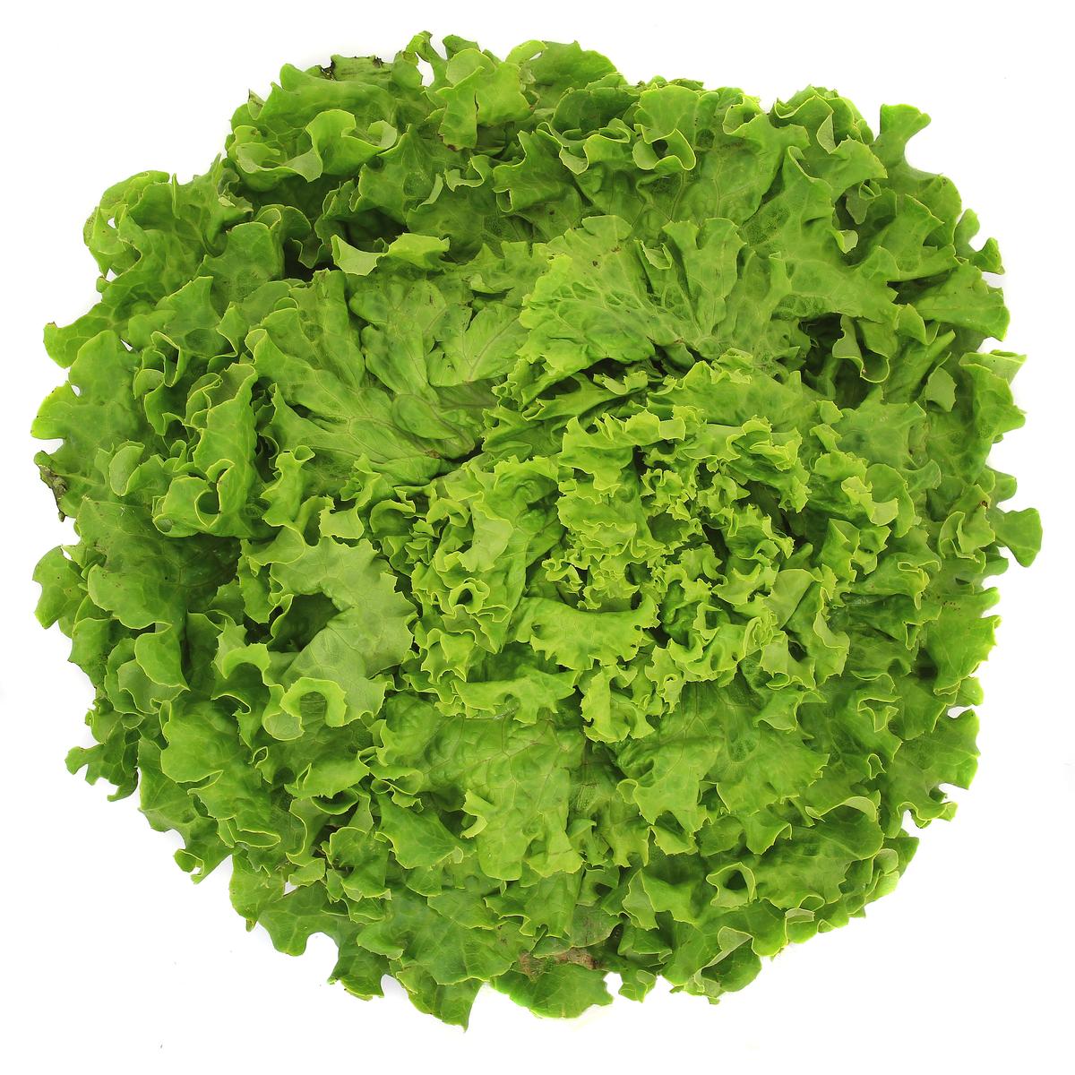 2050000372247 - Les Saveurs De Chailly - Salade Batavia