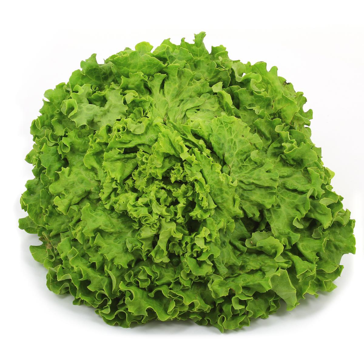 2050000372247 - Les Saveurs De Chailly - Salade Batavia