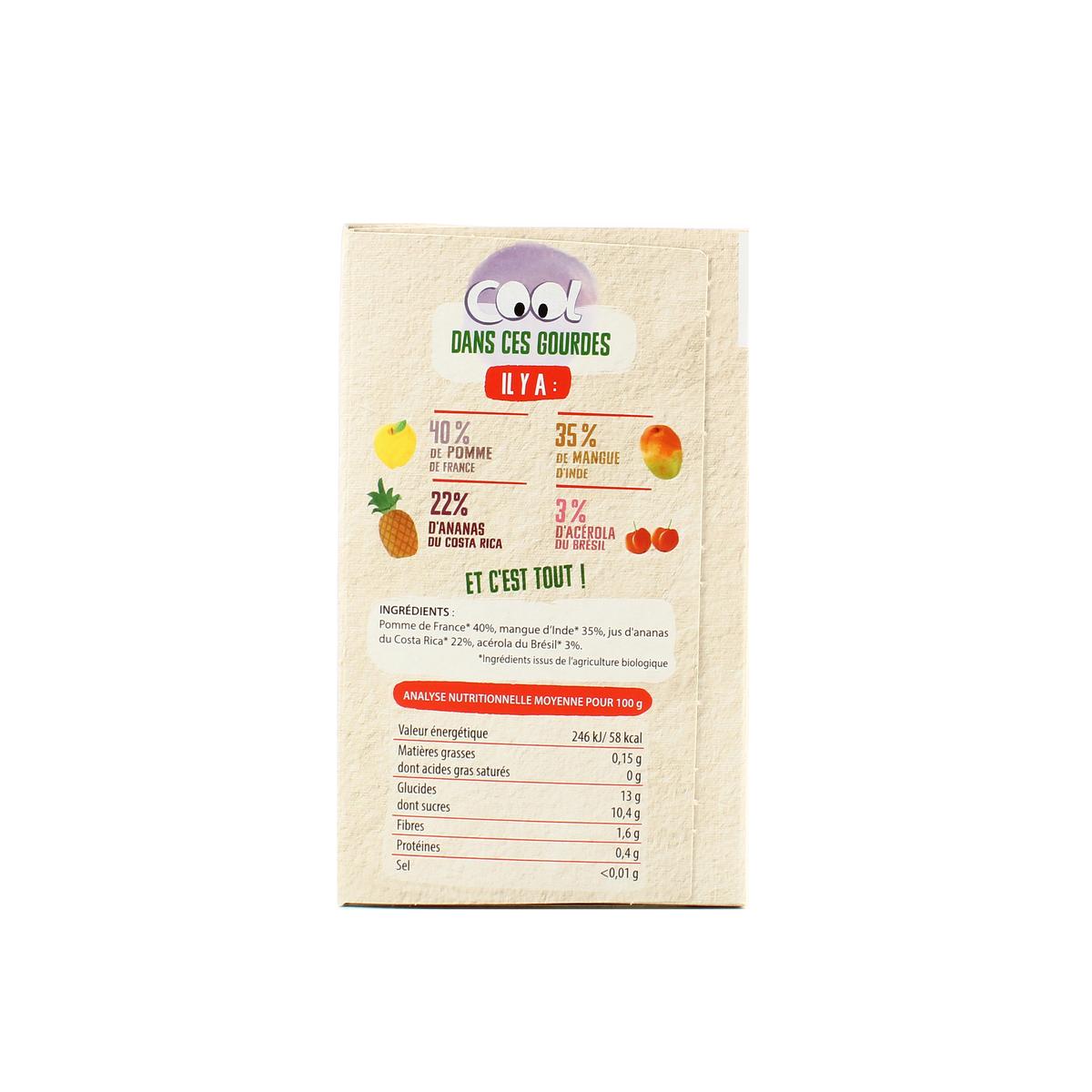3288131650050 - Vitabio - Cool Fruits - Pommes Mangue Ananas Acérola Bio - Purée de Fruits