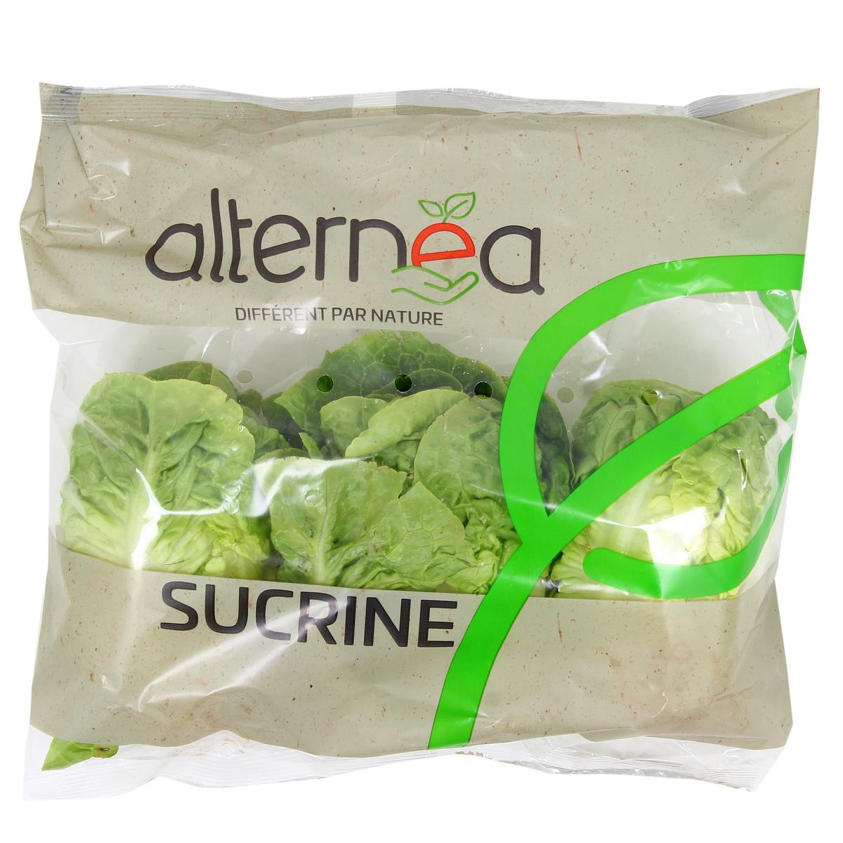 3606760064350 - - Salade sucrine