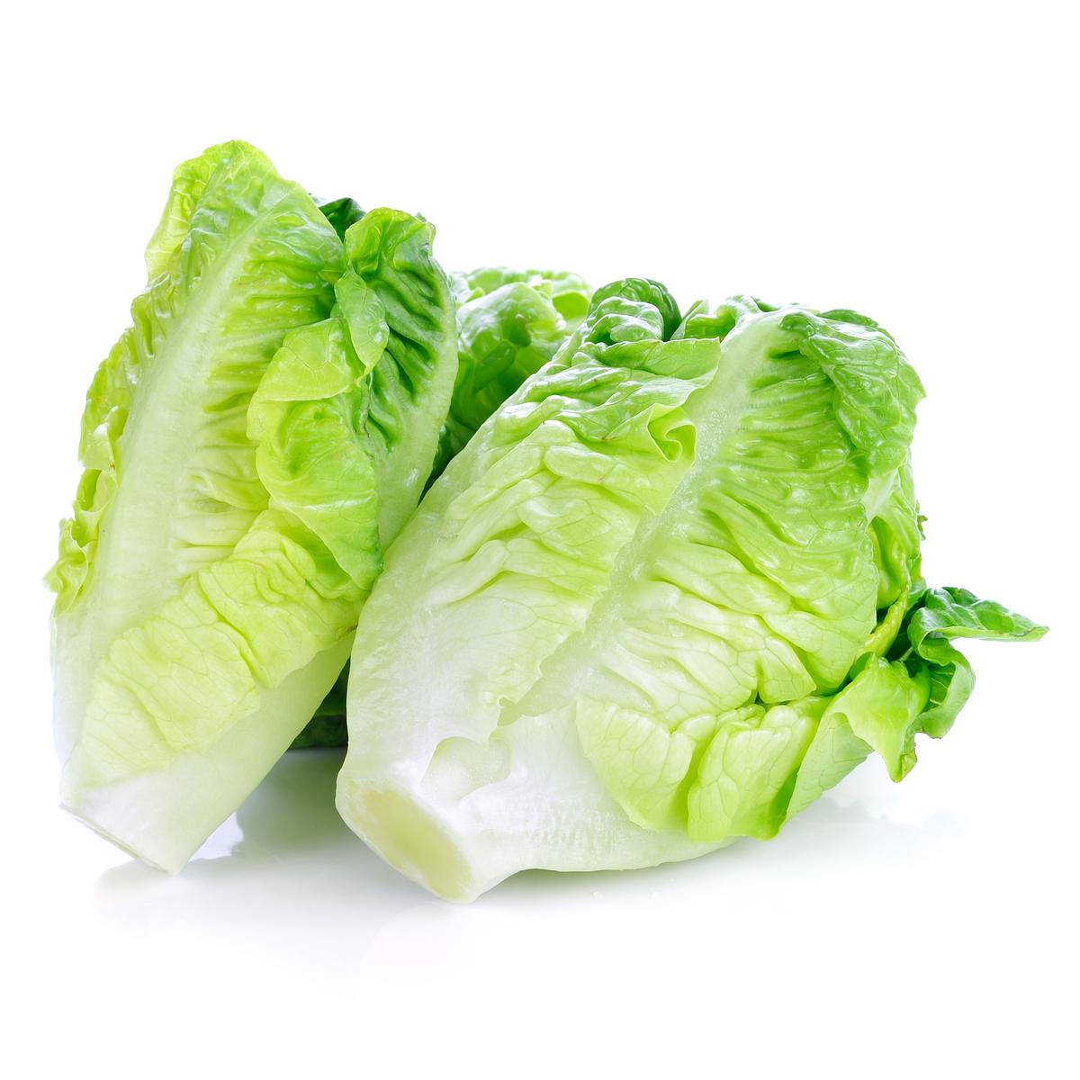 3606760064350 - - Salade sucrine