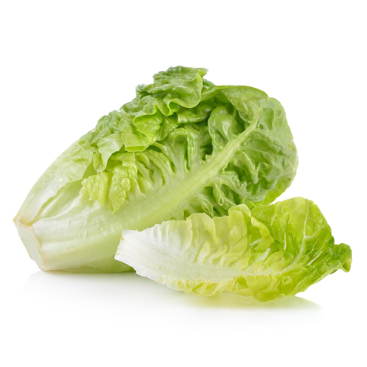 8436006182051 - - Salade Sucrine