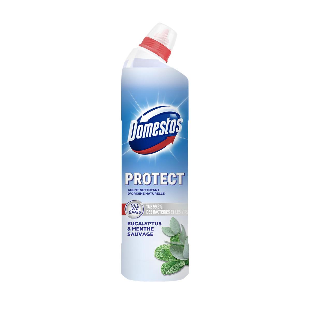 8710522953051 - Domestos - Gel WC épais Eucalyptus & Menthe sauvage