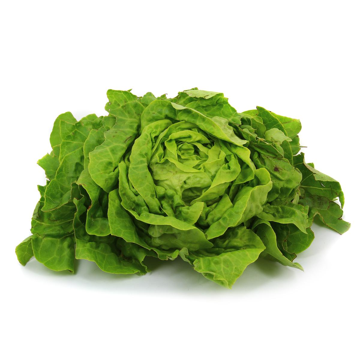 2050000372254 - Les Saveurs De Chailly - Salade Laitue