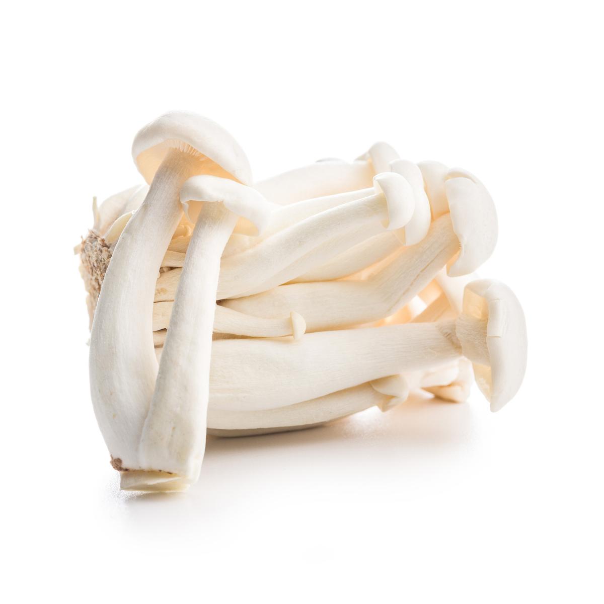 3700626344577 -  - Champignon Shimeji Blanc