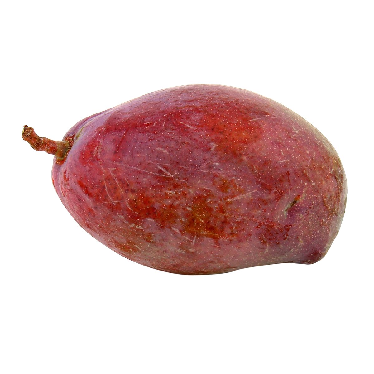 3664641002099 - Les Paysans Bio - Mangue bio