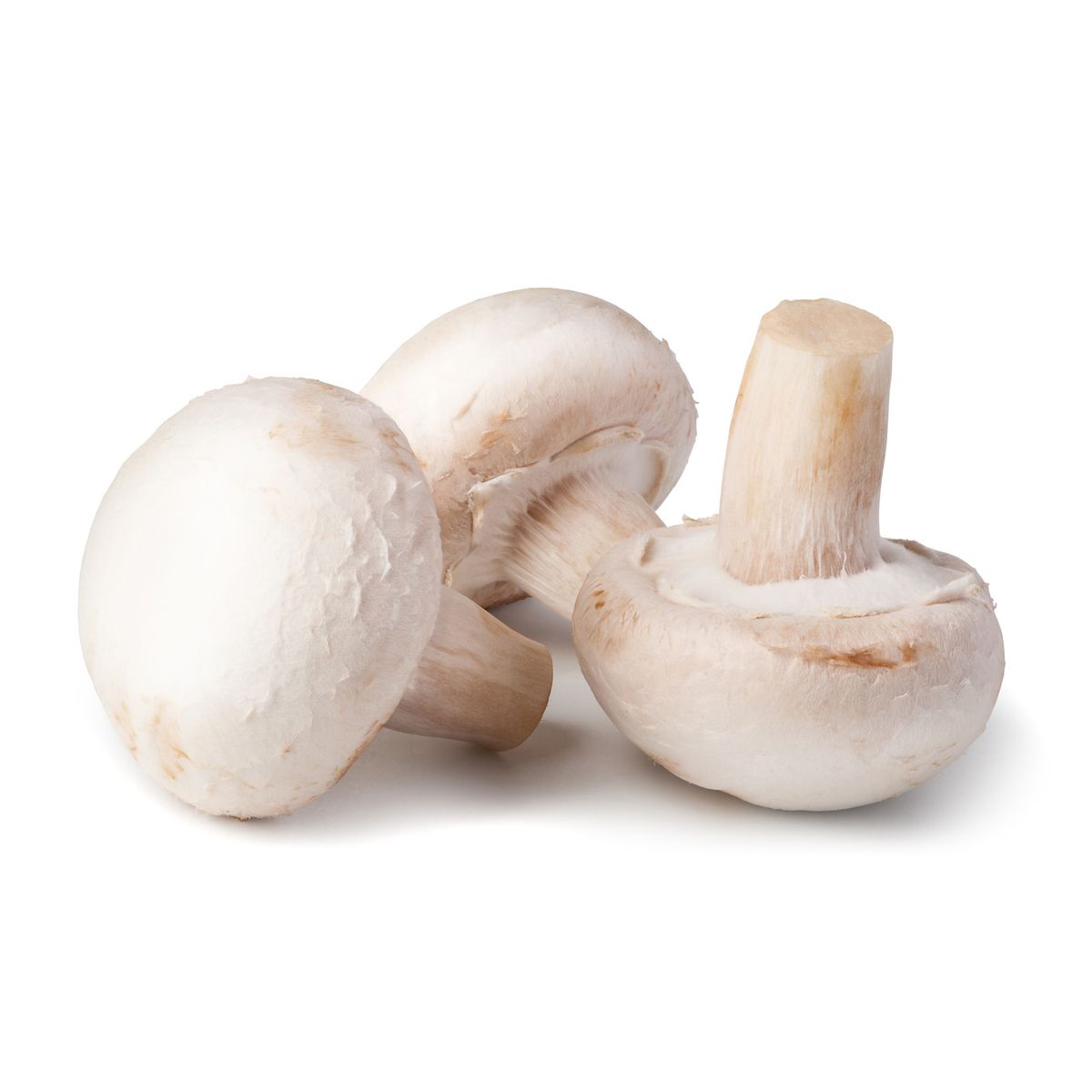 5450322062685 - - Champignon blanc Paris