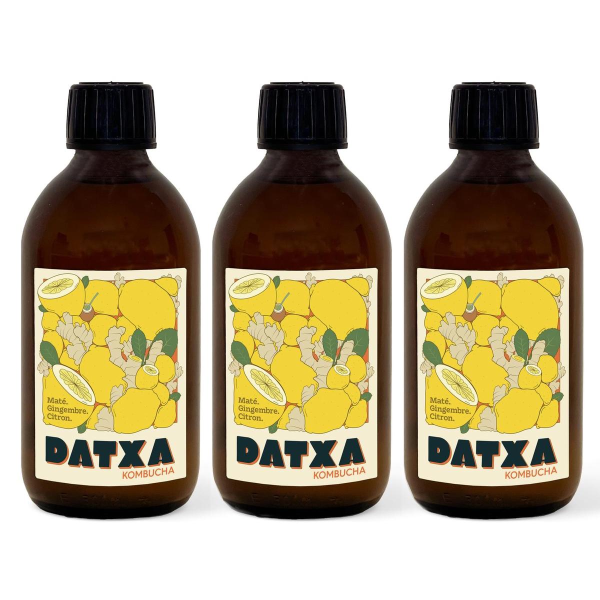 2050000392061 - Datxa - Kombucha Maté Gingembre Bio