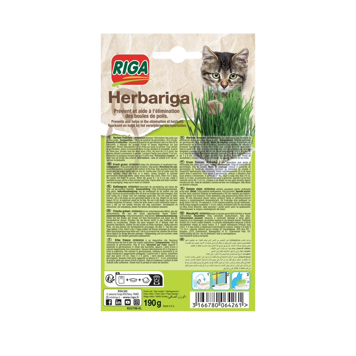 3166780064261 - Riga - Herbariga Herbes à Chat Fraiches 