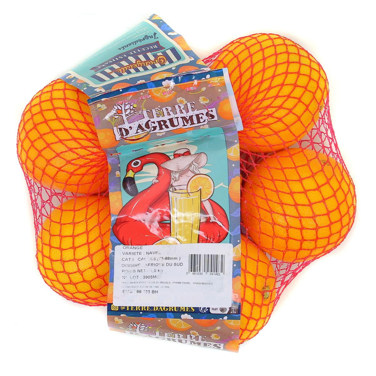 Filet lavable Orange AZTEQUE S main image 1