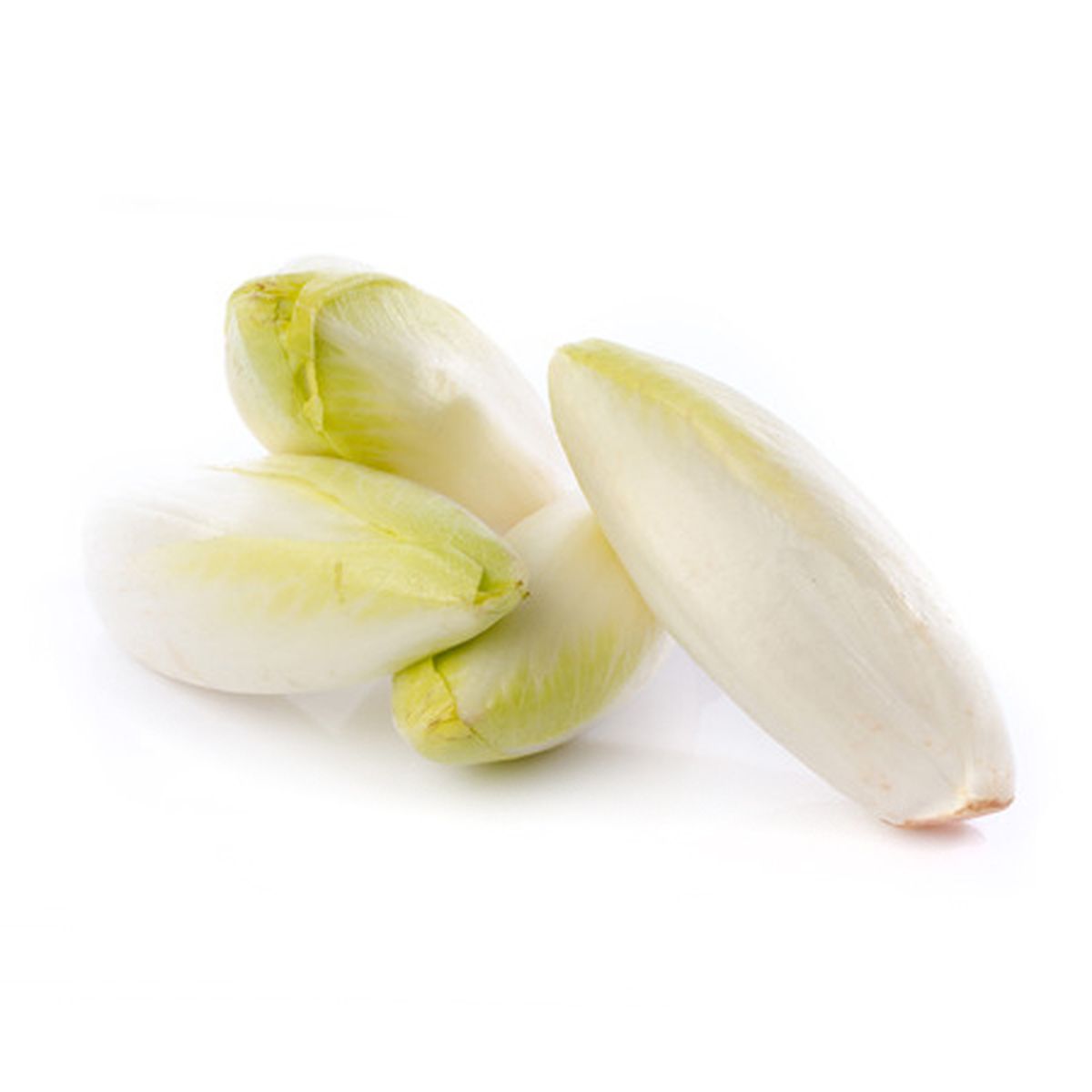 2050000373565 - - Endive