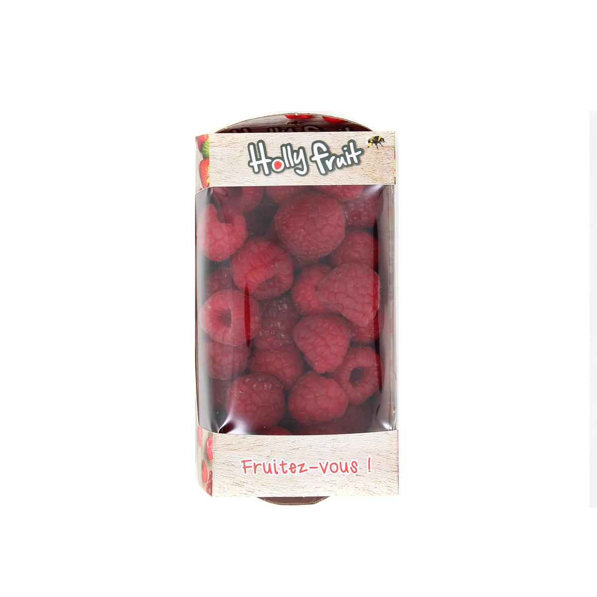 3760025967166 - France Food - Framboise