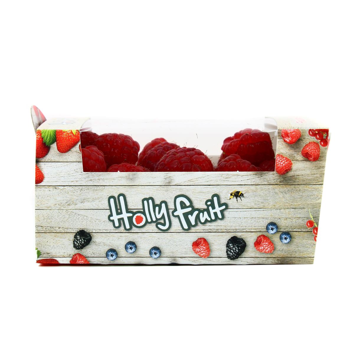 3760025967166 - France Food - Framboise