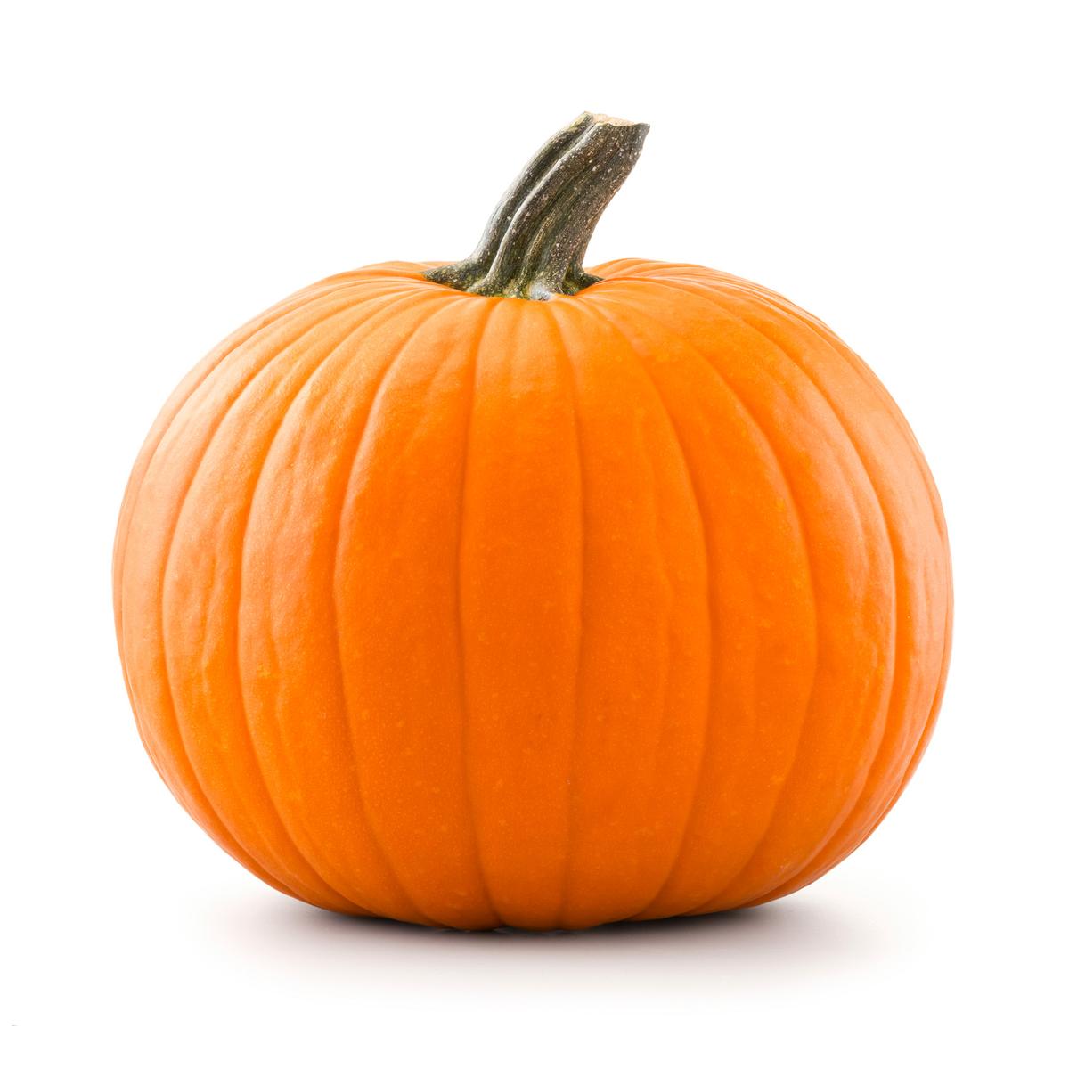 2050000374869 - - Citrouille Jack O'Lantern (non comestible)