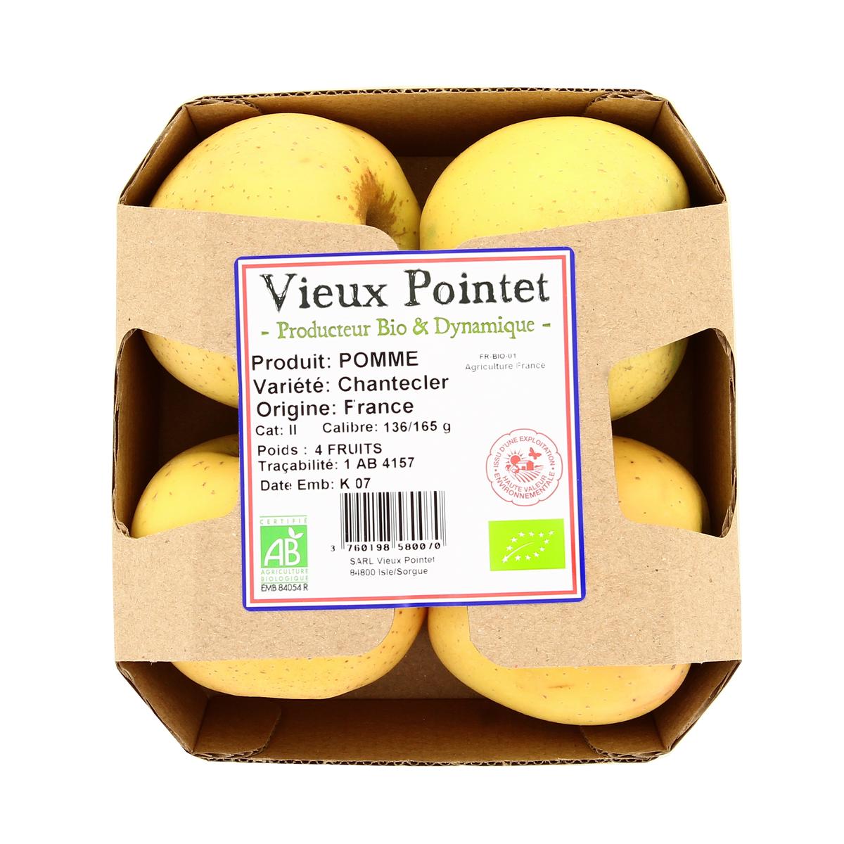 3760198580070 - Le Vieux Pointet - Pomme Chantecler bio