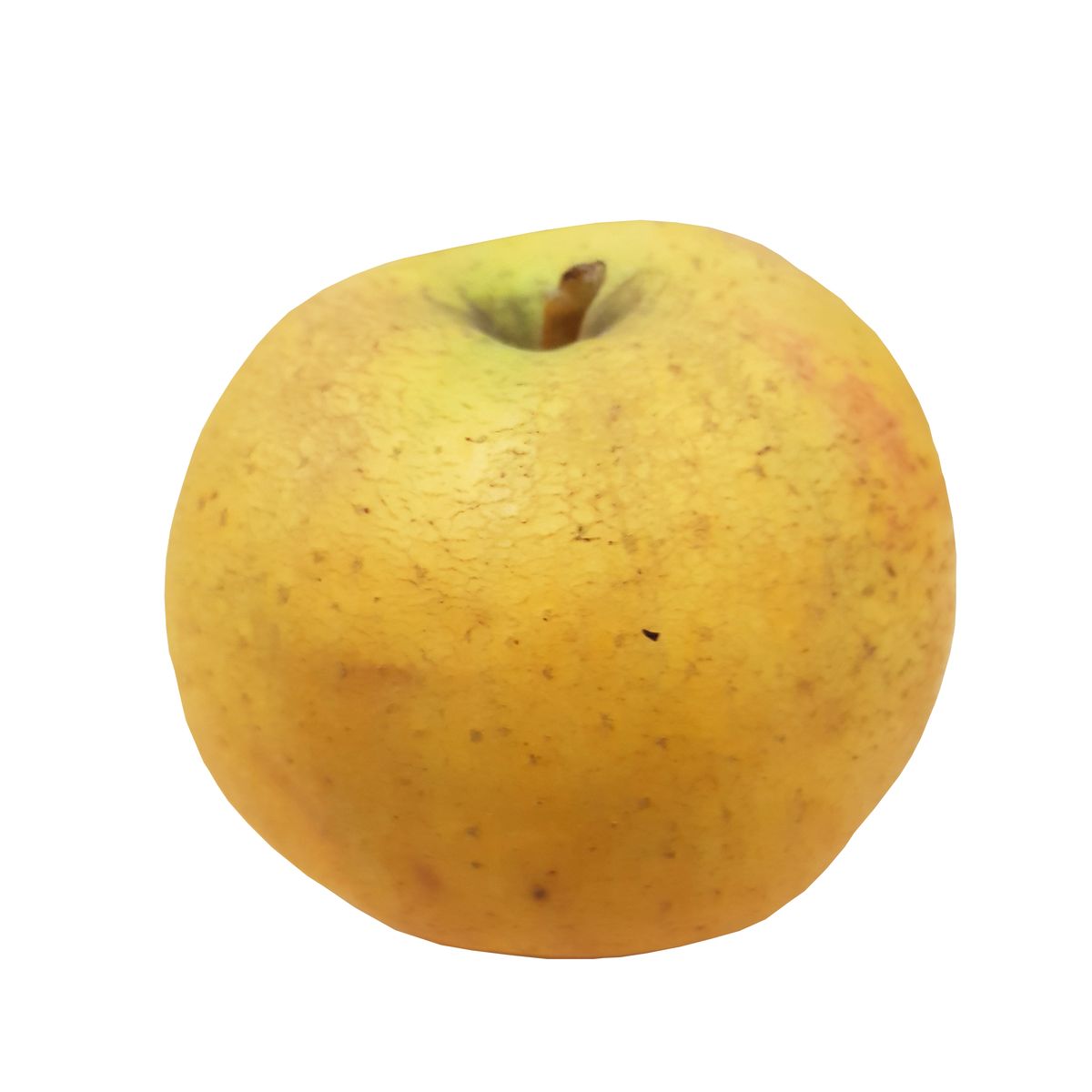 3760198580070 - Le Vieux Pointet - Pomme Chantecler bio