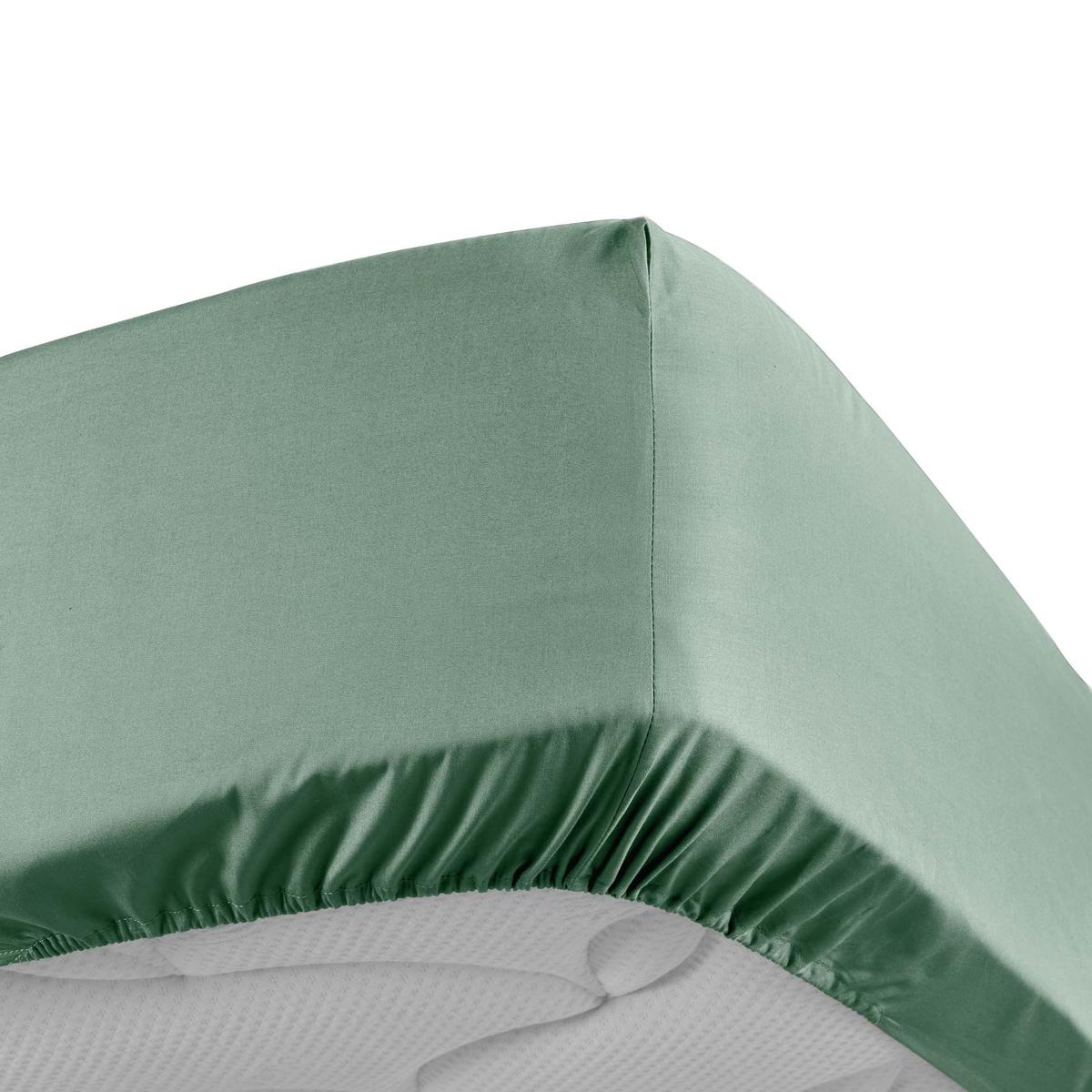 3574386446471 - Douceur D Interieur - Drap housse tileule 2 personnes