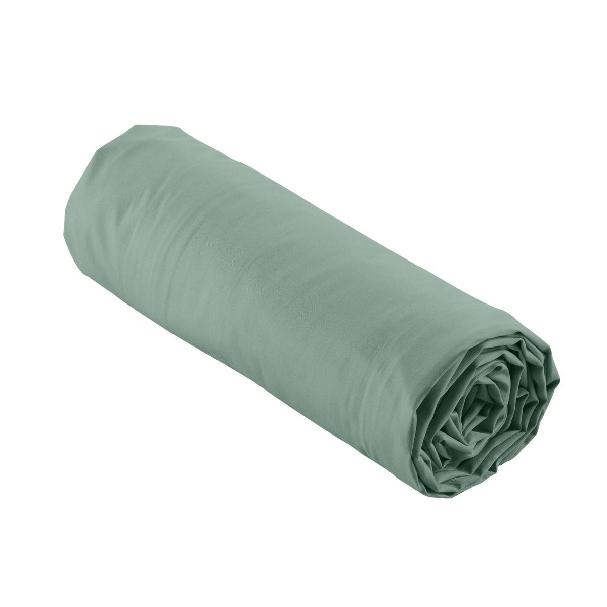 3574386446471 - Douceur D Interieur - Drap housse tileule 2 personnes