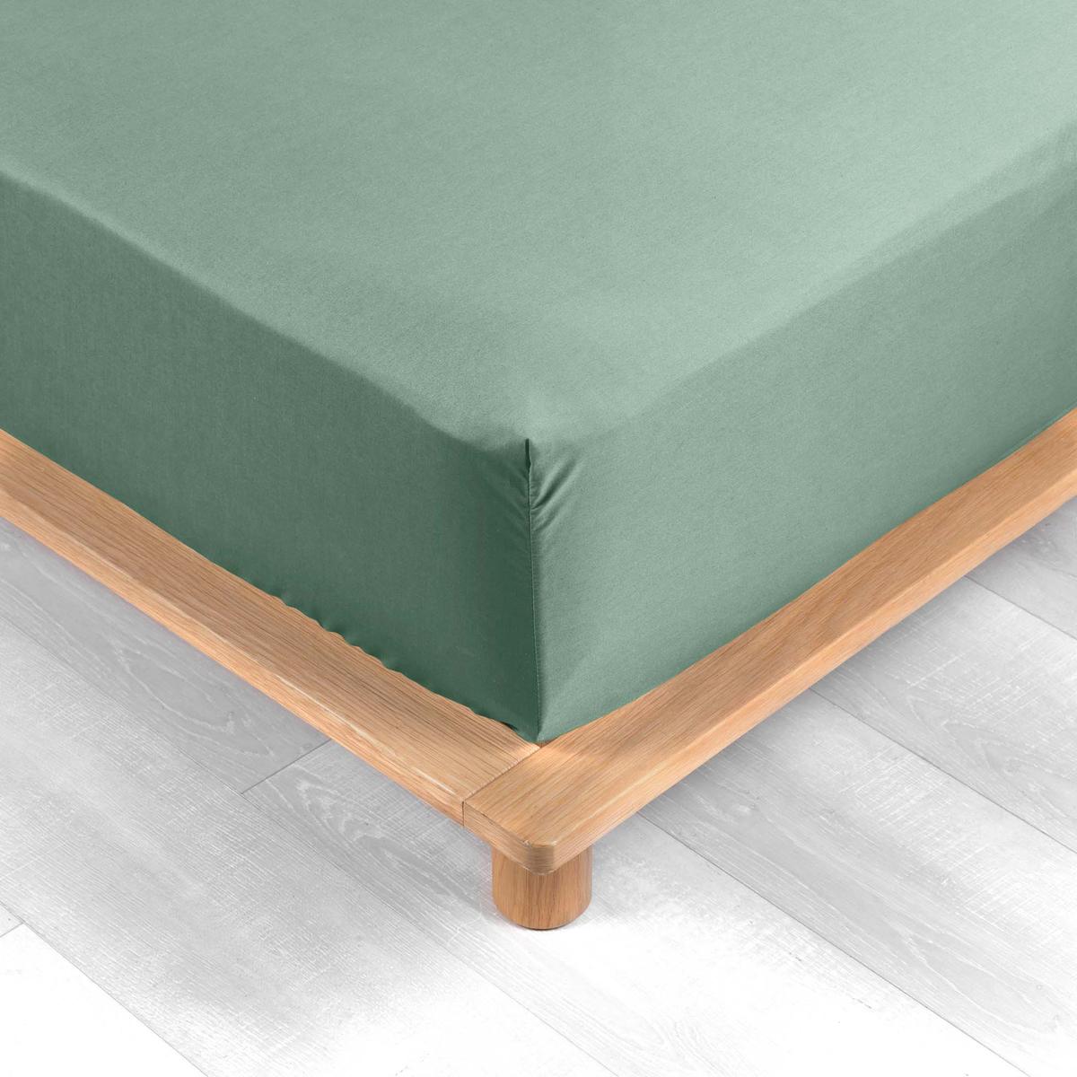 3574386446471 - Douceur D Interieur - Drap housse tileule 2 personnes