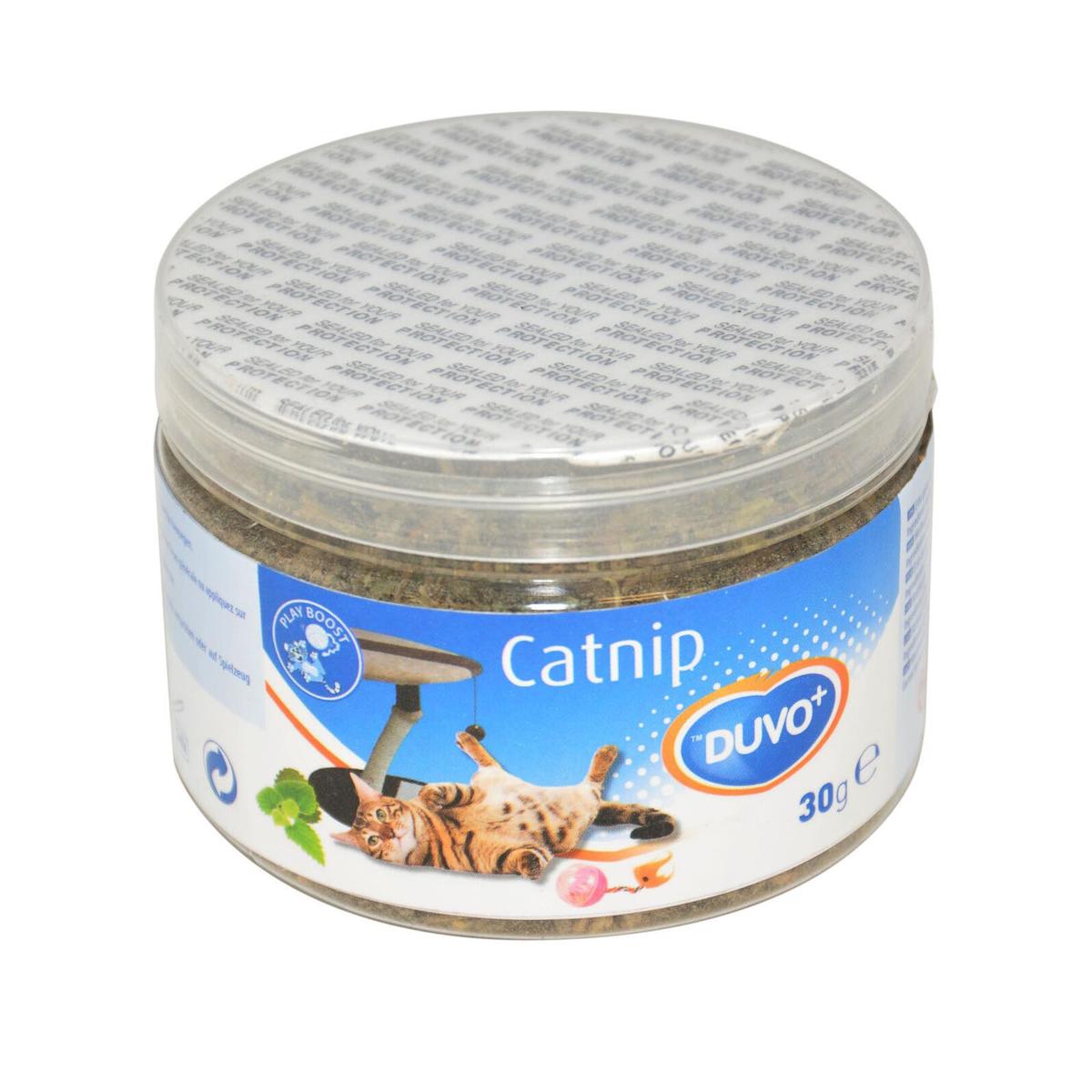 5414365191672 - Duvo Plus - Herbe à chat Catnip