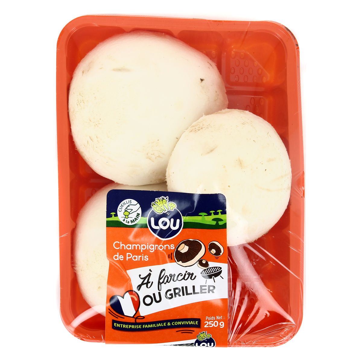 Achat Vente Lou Champignon De Paris Blanc Geant Barquette De 250g