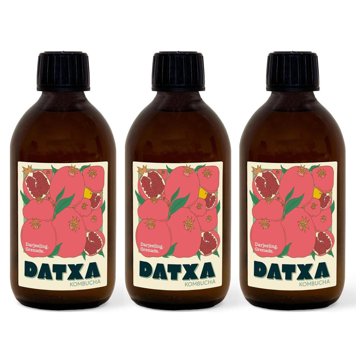 2050000392078 - Datxa - Kombucha Darjeeling Bio