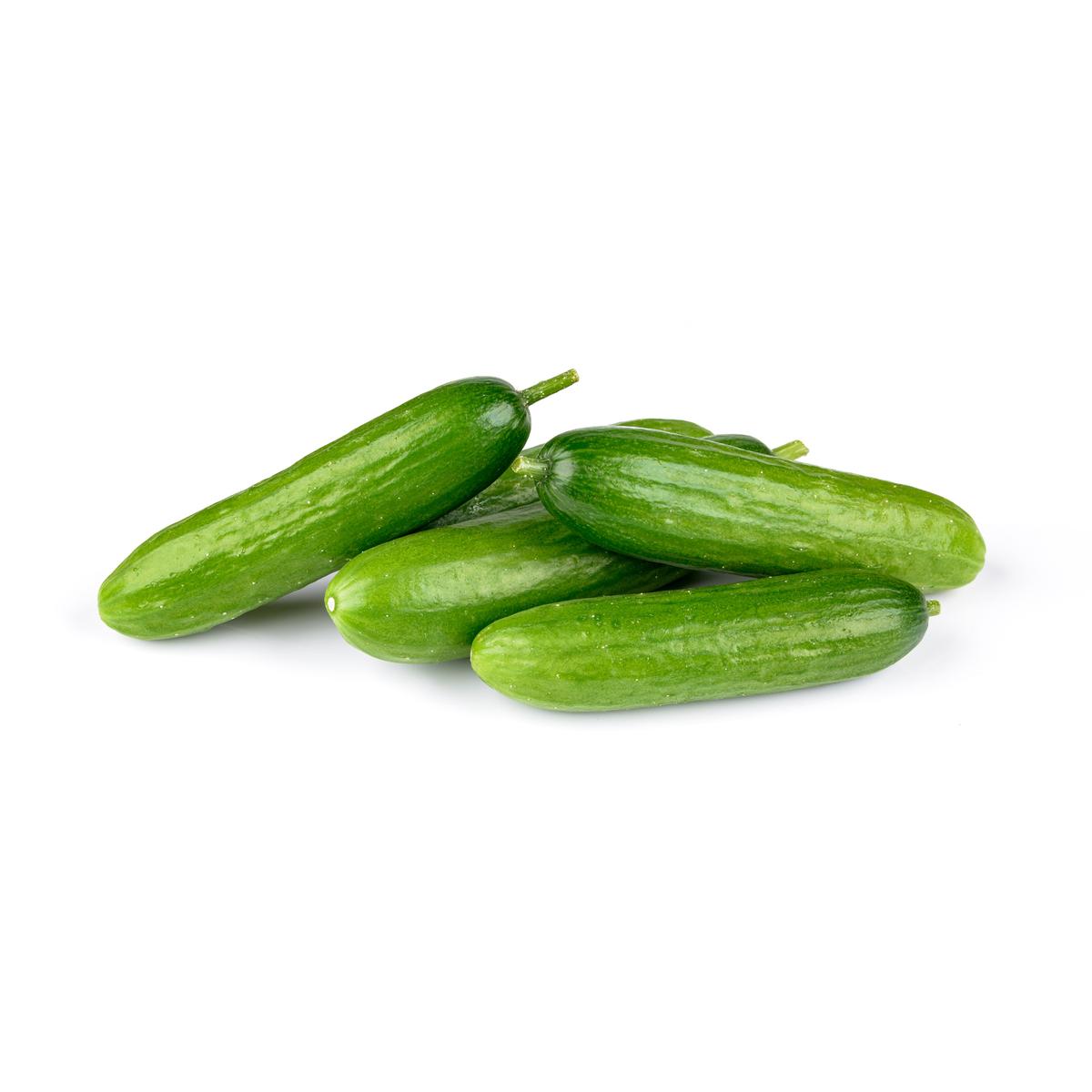 3770007559678 -  - Mini Concombre