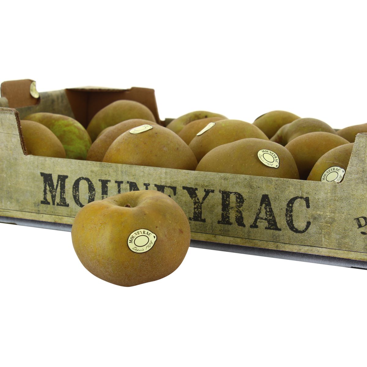 2050000332982 - Mouneyrac - Pomme Canada Grise