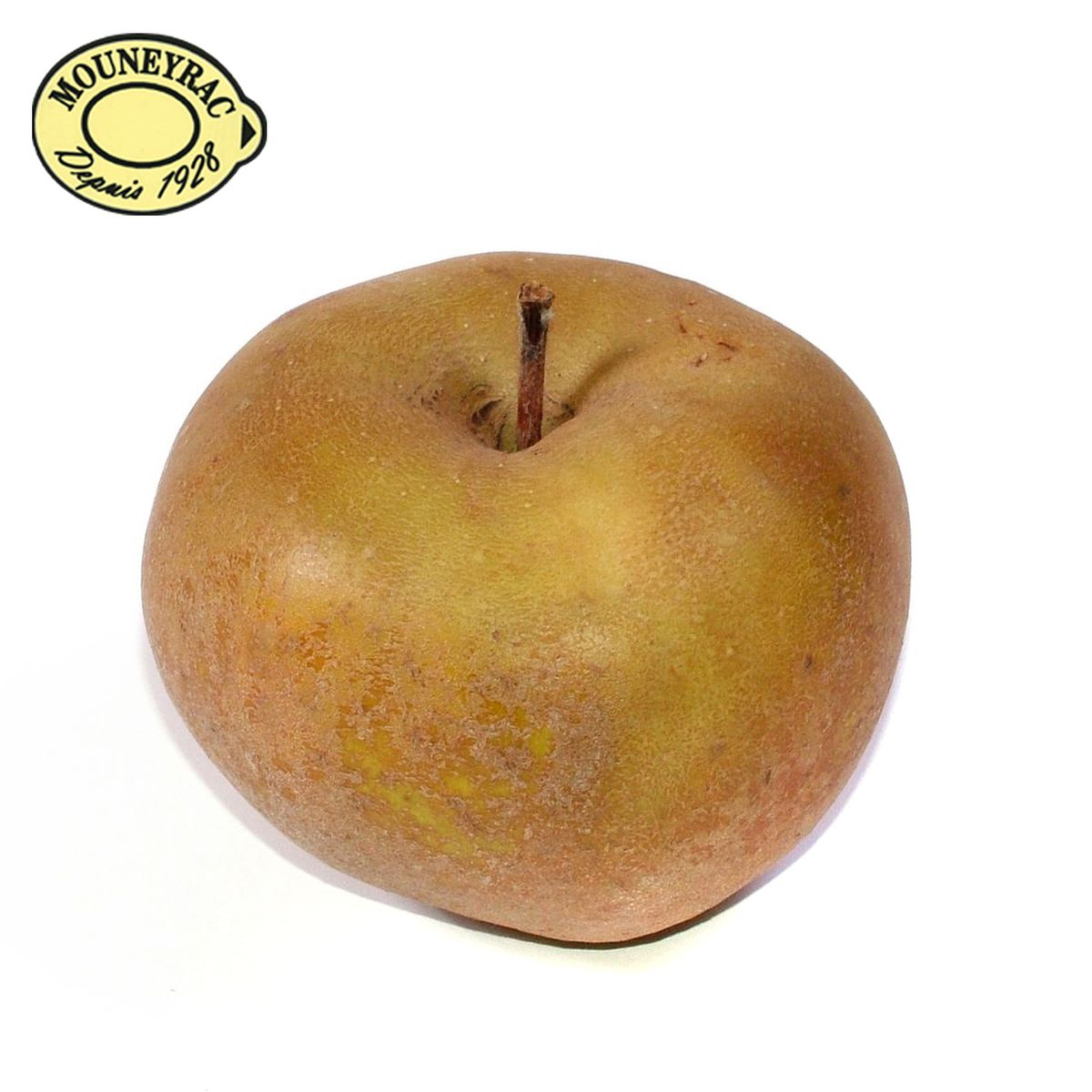 2050000332982 - Mouneyrac - Pomme Canada Grise