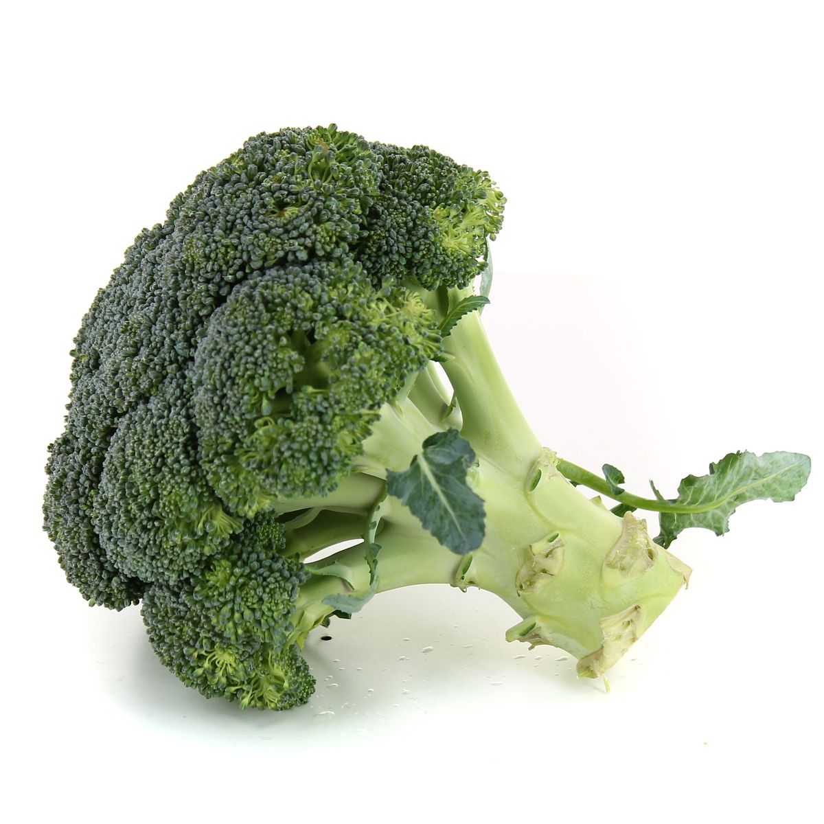 2050000384684 -  - Brocoli