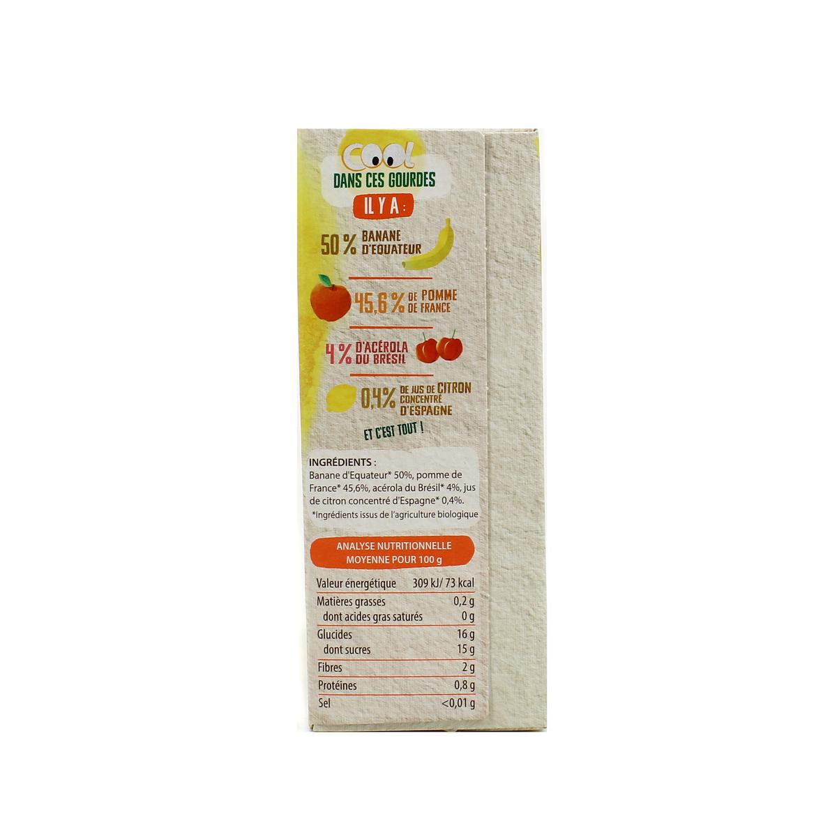 3288132600191 - Vitabio - Cool Fruits - Gourdes Banane, Pomme, Acerola BIO - Purée de Fruits