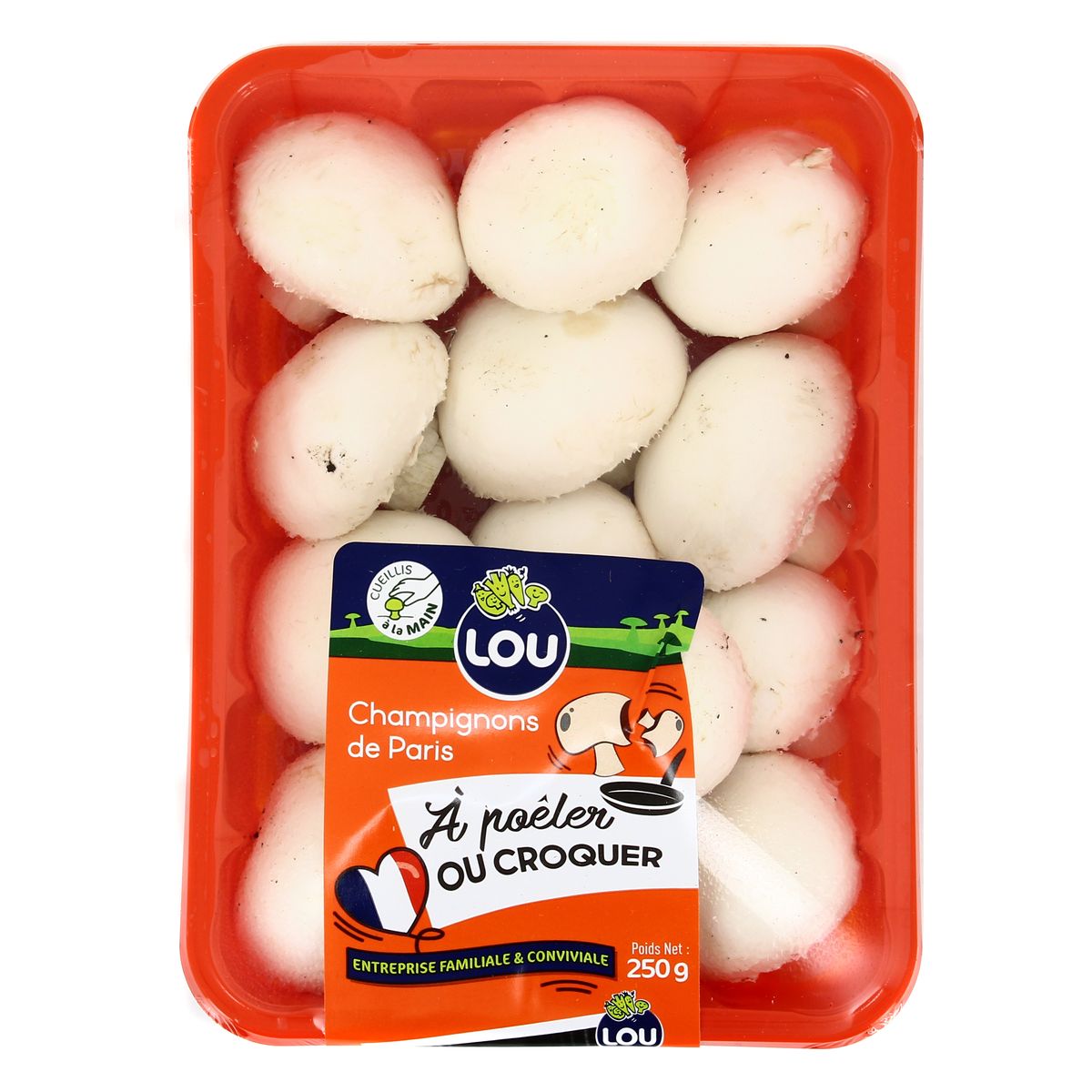 3700552800994 - - Champignon de Paris Blanc