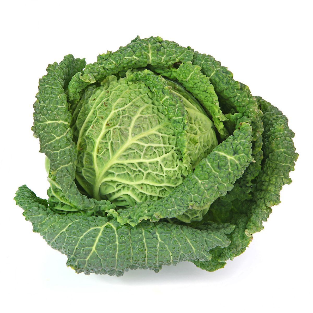 2050000383496 - - Chou Vert Frisé