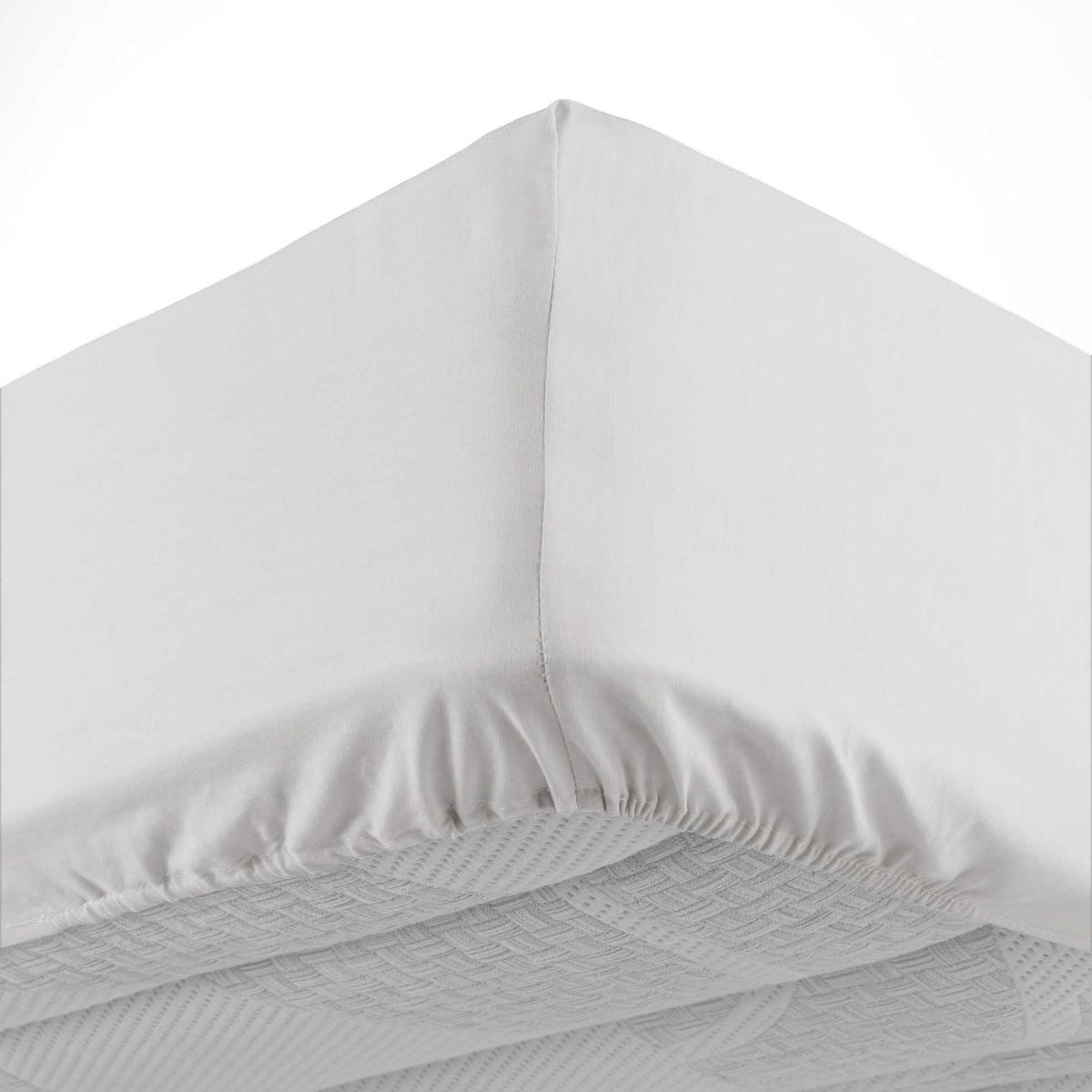 3574386445597 - Douceur D Interieur - Drap housse blanc 2 personnes
