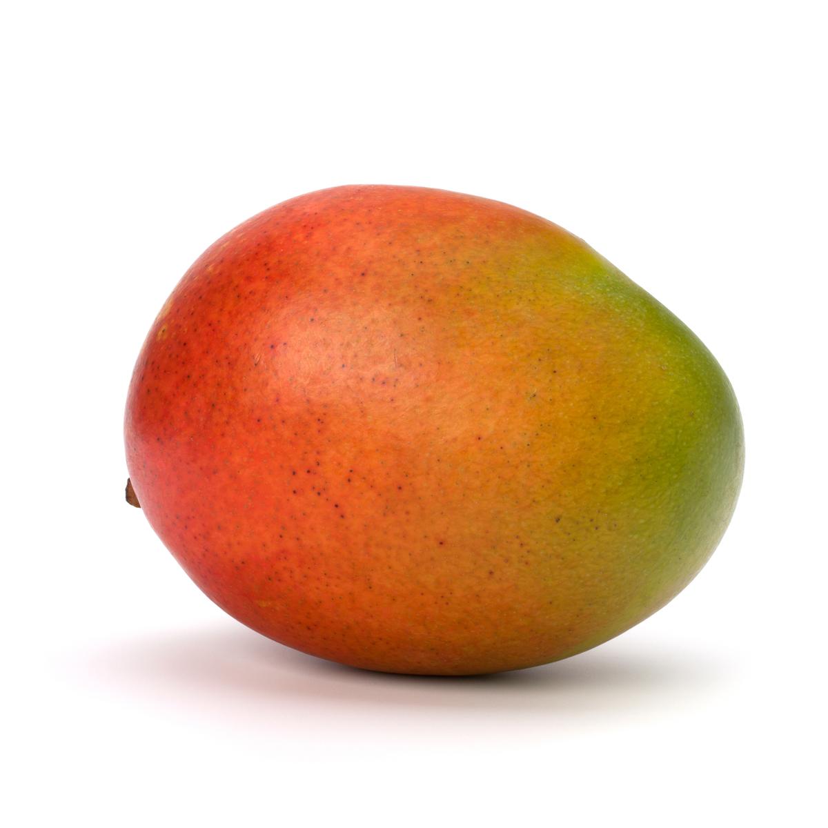 3664641002099 - Les Paysans Bio - Mangue Bio