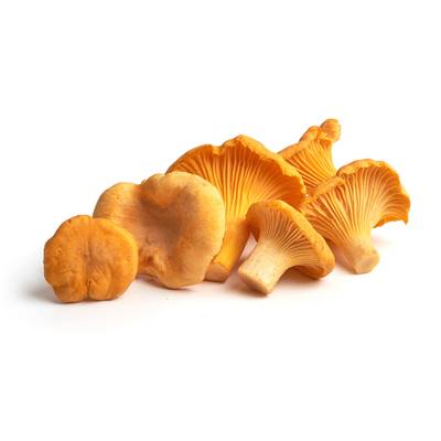 Champignon Girolle