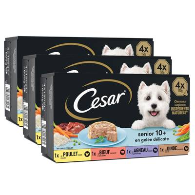 César Barquettes en gelée délicate 4 variétés pour chien Senior, Lot de 3x4x150g