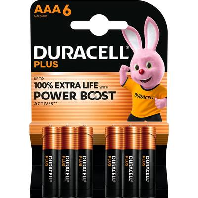 Duracell 6 Piles LR03 / AAA Alcaline Plus, 6  piles