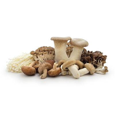 Champignons Mélange Gourmands, Barquette de 250g
