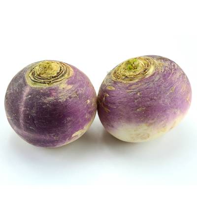 Les Paysans Bio Navet violet nouveau bio, Barquette de 500g
