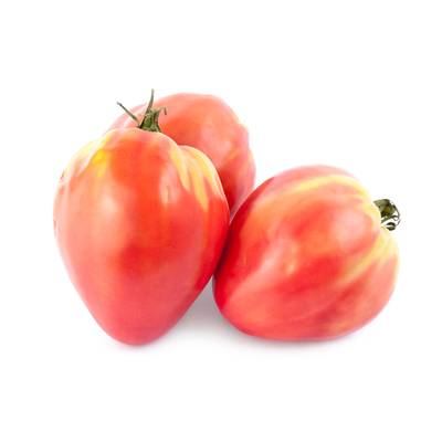 Production d'Ile de France Tomate coeur de boeuf