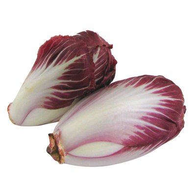 2050000231810 - - Endive Carmine