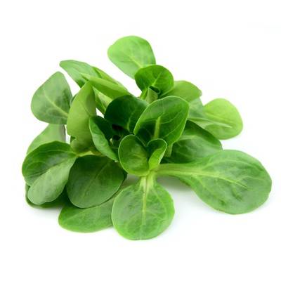 PicVert Jeunes Pousses de Mâche, Barquette de 125g